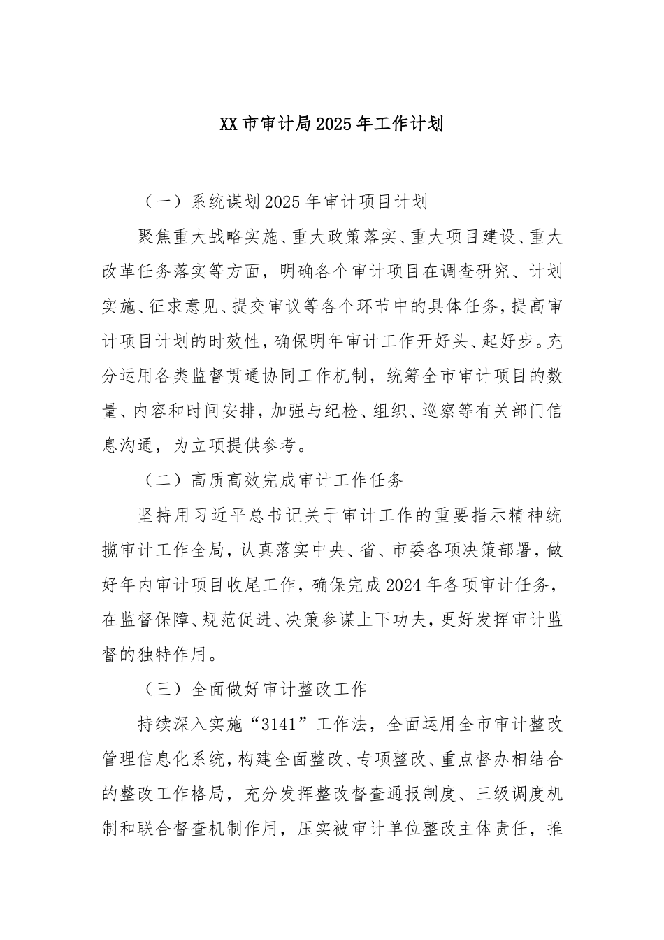 市审计局2025年工作计划.doc_第1页