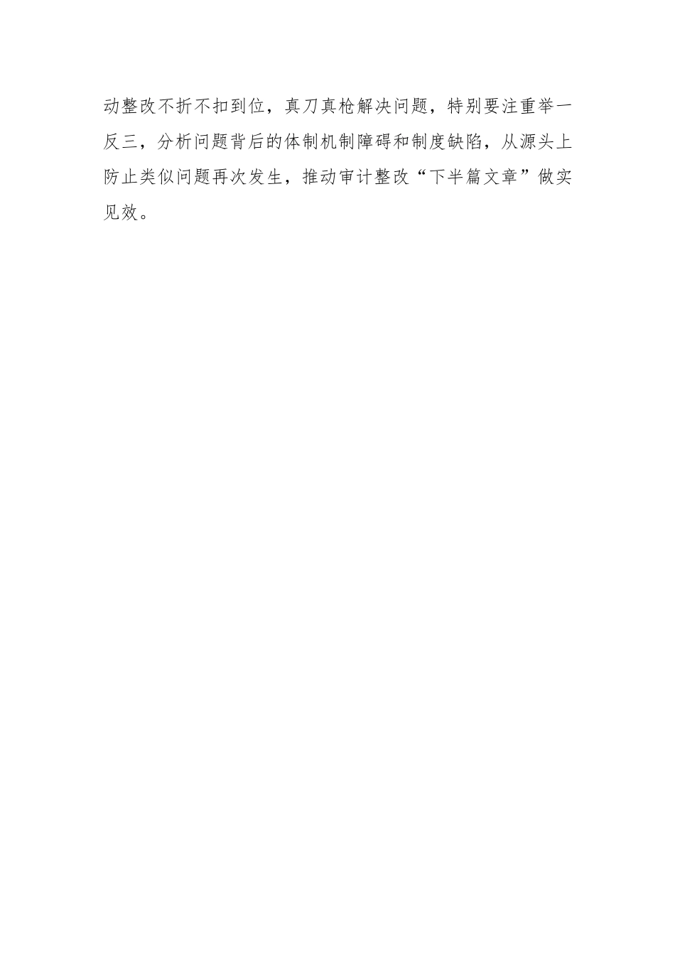 市审计局2025年工作计划.doc_第2页
