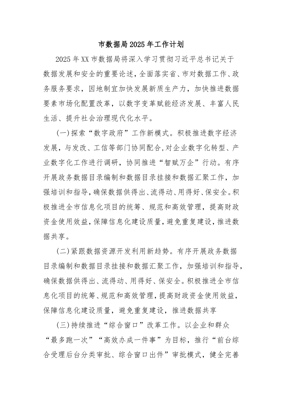 市数据局2025年工作计划.doc_第1页