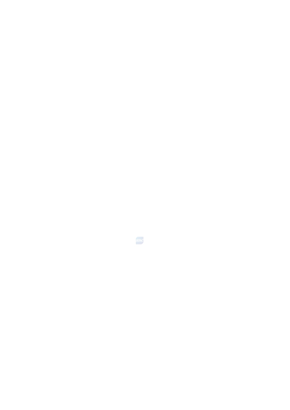17980_99-2004-gbt-e-300.pdf_第2页