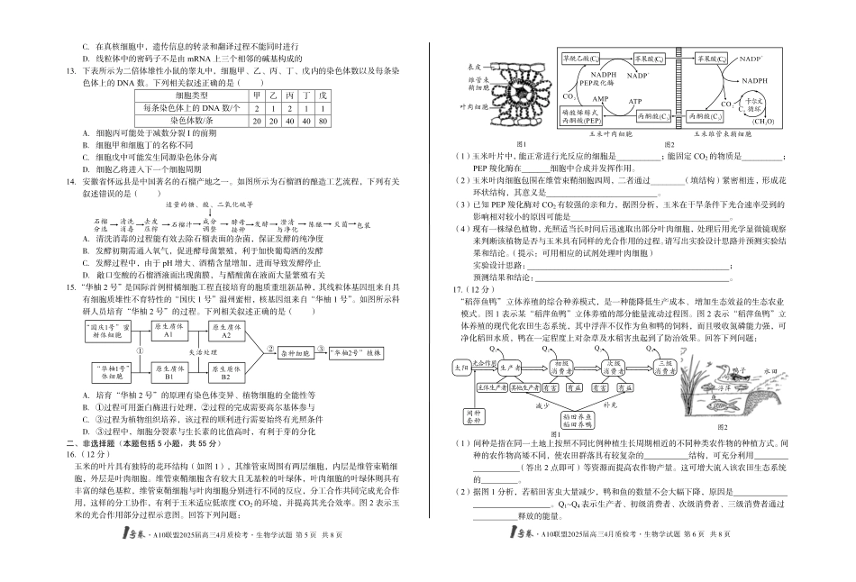 1号卷A10联盟2025届高三4月质检考生物学试题.pdf_第3页