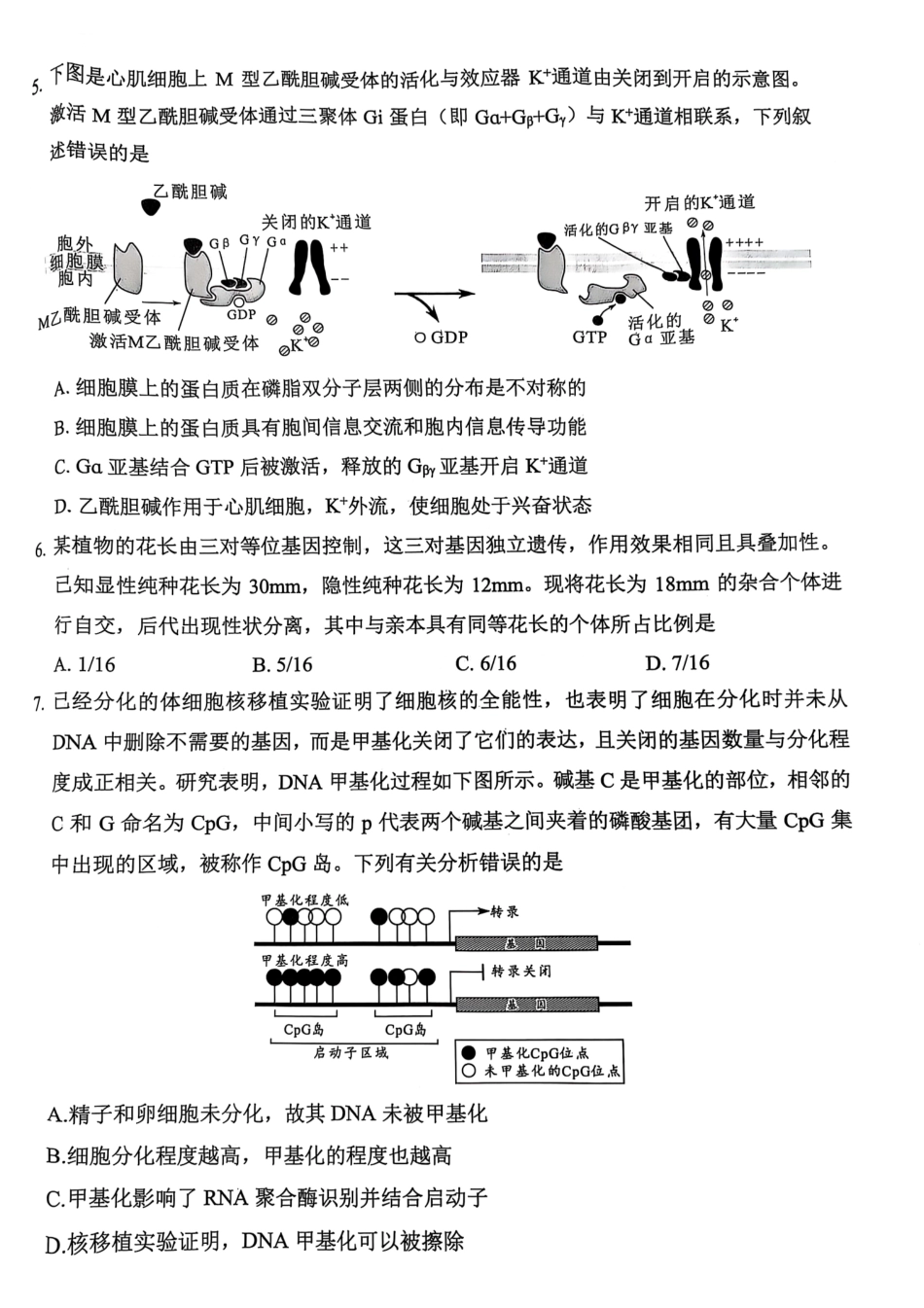 四川省绵阳市高中2022级第三次诊断性考试生物试题.pdf_第2页