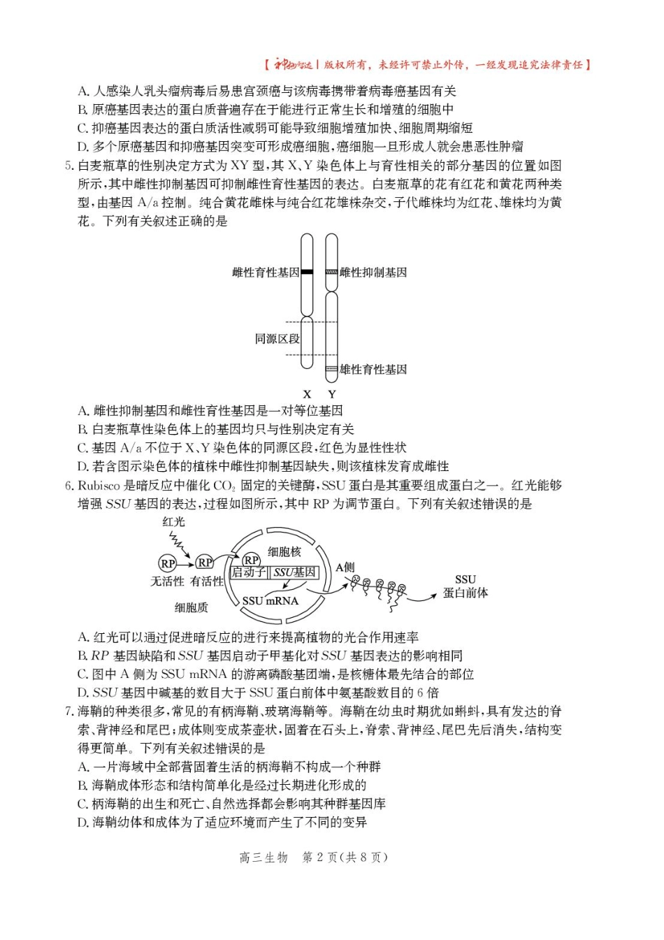 2025届河北省沧州市高三下学期4月复习质量监测（二模）生物试题（含答案）.pdf_第2页