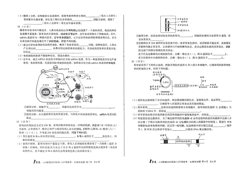 安徽省A10联盟2025届高三4月质检考生物+答案.pdf_第2页