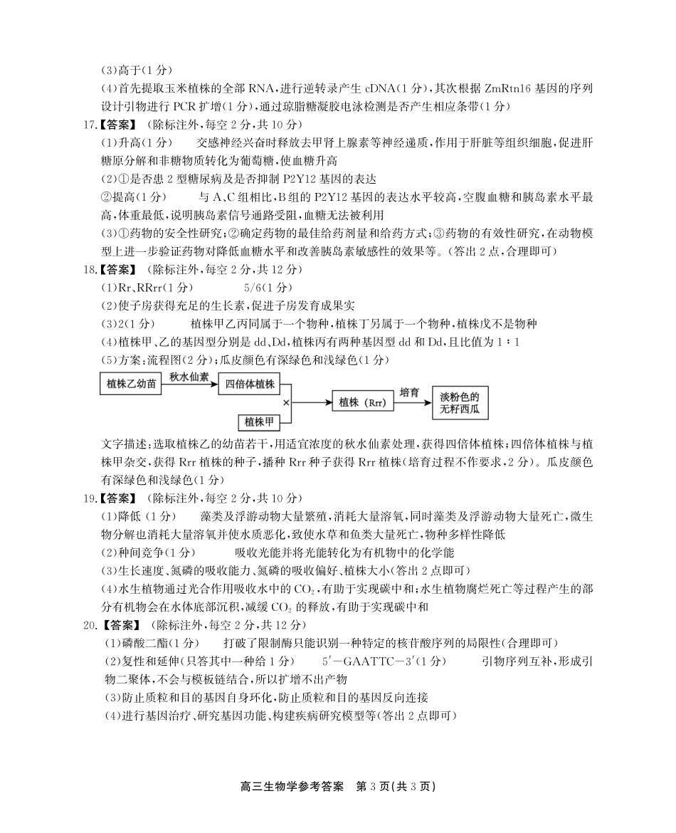 安徽省鼎尖教育2024-2025学年高三逐梦杯实验班大联考生物答案.pdf_第3页