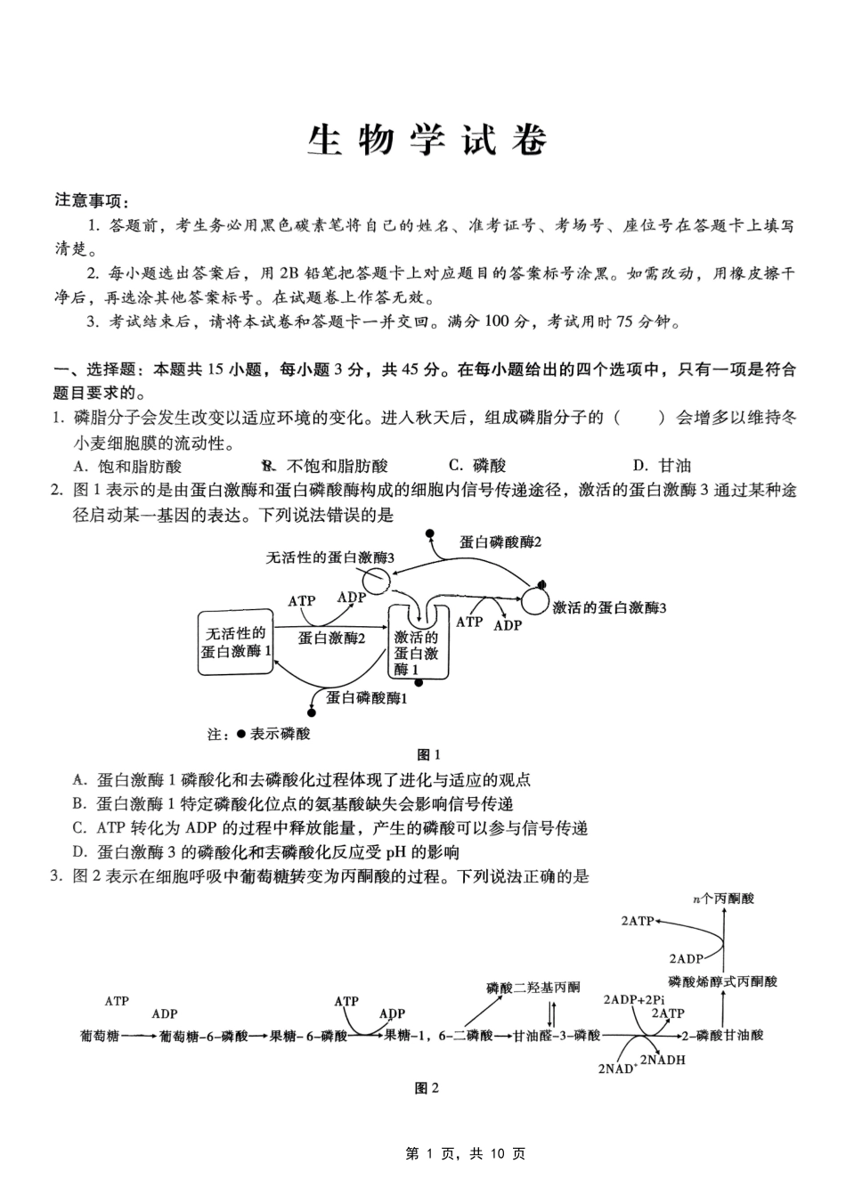 巴蜀中学2025届高考适应性月考卷（七）生物试题.pdf_第1页