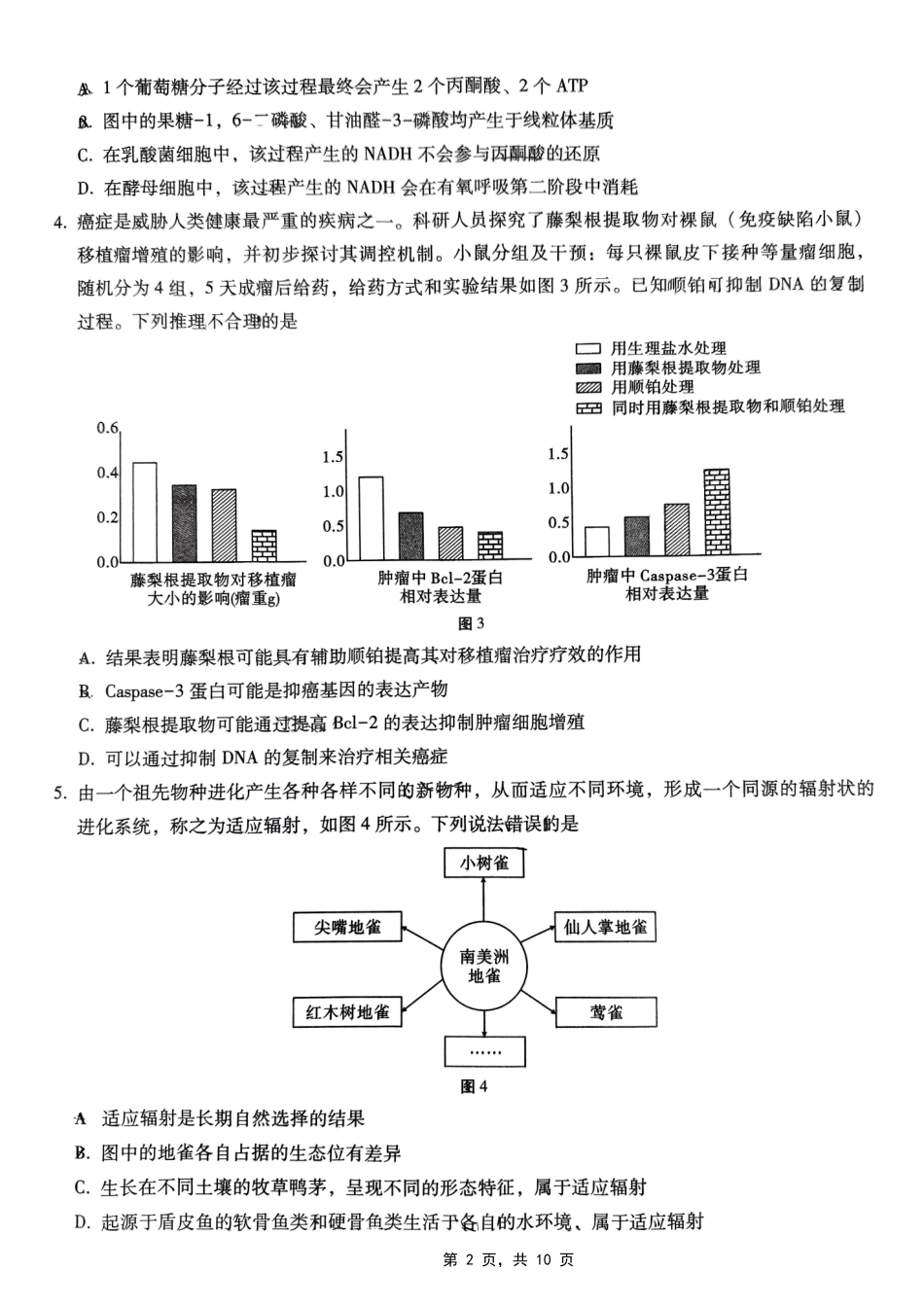 巴蜀中学2025届高考适应性月考卷（七）生物试题.pdf_第2页