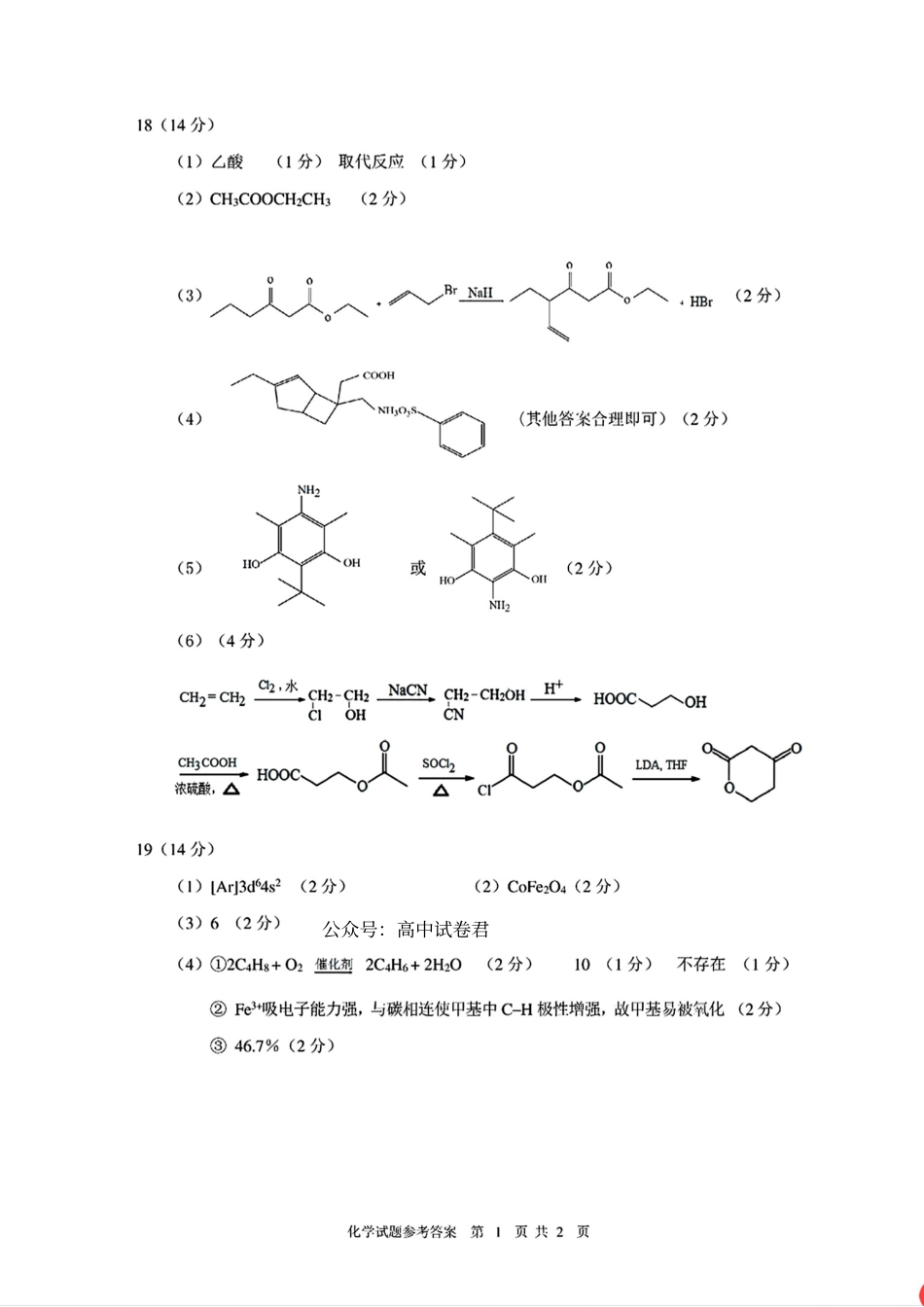 海南省海口市2024-2025学年高三下学期仿真考试化学答案.pdf_第2页