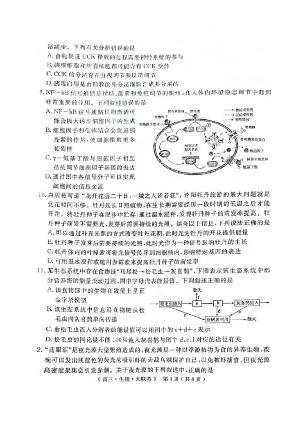 河南省H20高中联盟2024-2025学年高三下学期4月联考生物试卷.docx_第3页