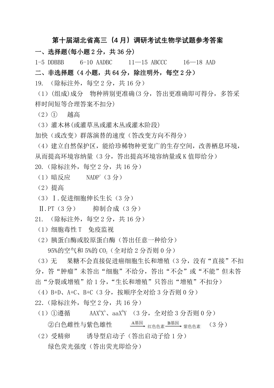 湖北省2025届高三（4月）调研模拟考试生物答案.pdf_第1页