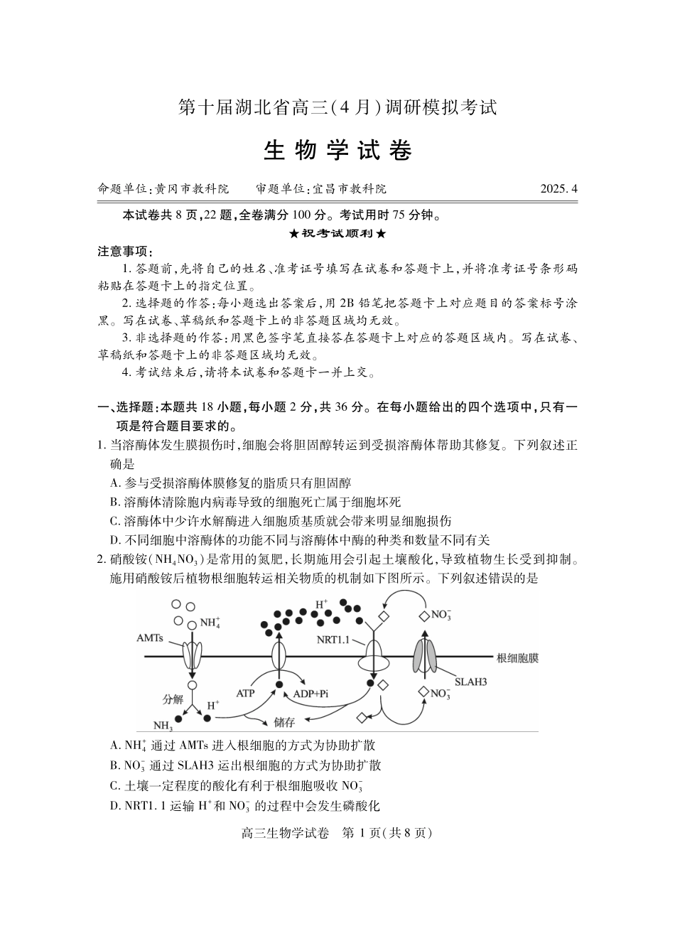 湖北省2025届高三（4月）调研模拟考试生物试题.pdf_第1页