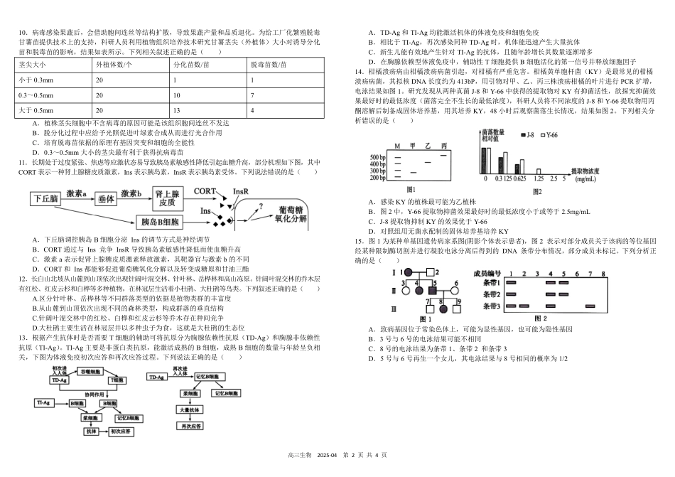 四川省成都市树德中学2024-2025学年高三下学期4月月考试题 生物含答案.pdf_第2页