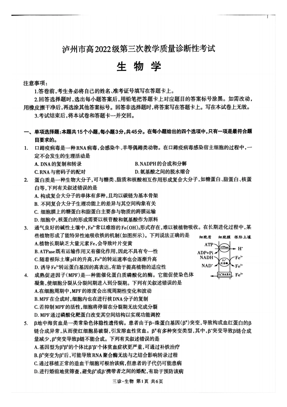四川省泸州市高2022级第三次教学质量诊断性考试生物试题.pdf_第1页