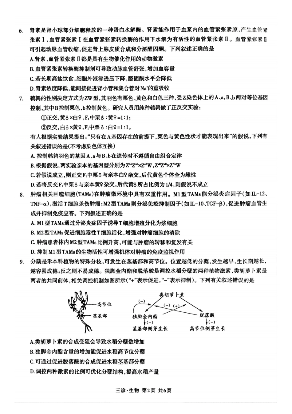 四川省泸州市高2022级第三次教学质量诊断性考试生物试题.pdf_第2页