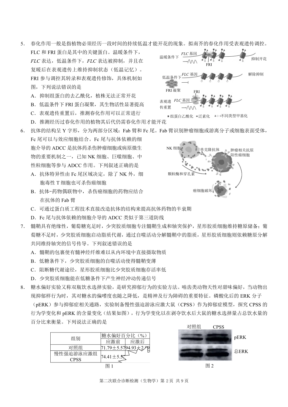 重庆市2025年普通高等学校招生全国统一考试（康德二诊）生物试题.pdf_第2页