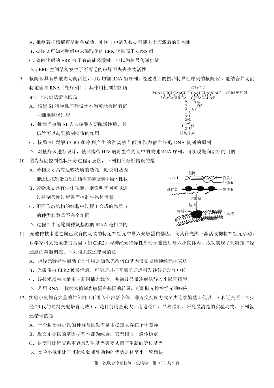 重庆市2025年普通高等学校招生全国统一考试（康德二诊）生物试题.pdf_第3页