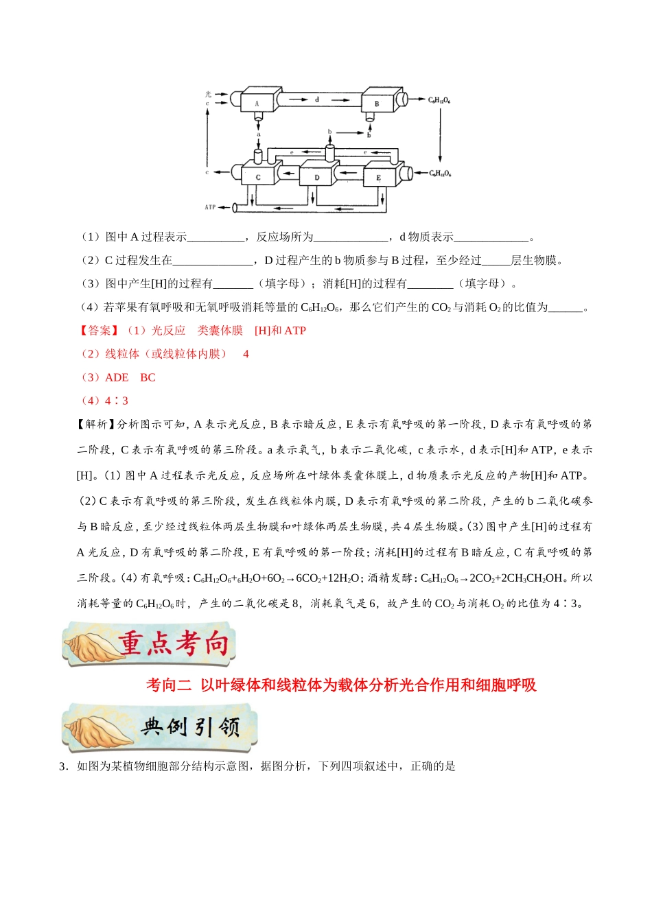 【高考生物考点专题】考点20 光合作用和细胞呼吸的综合.doc_第3页