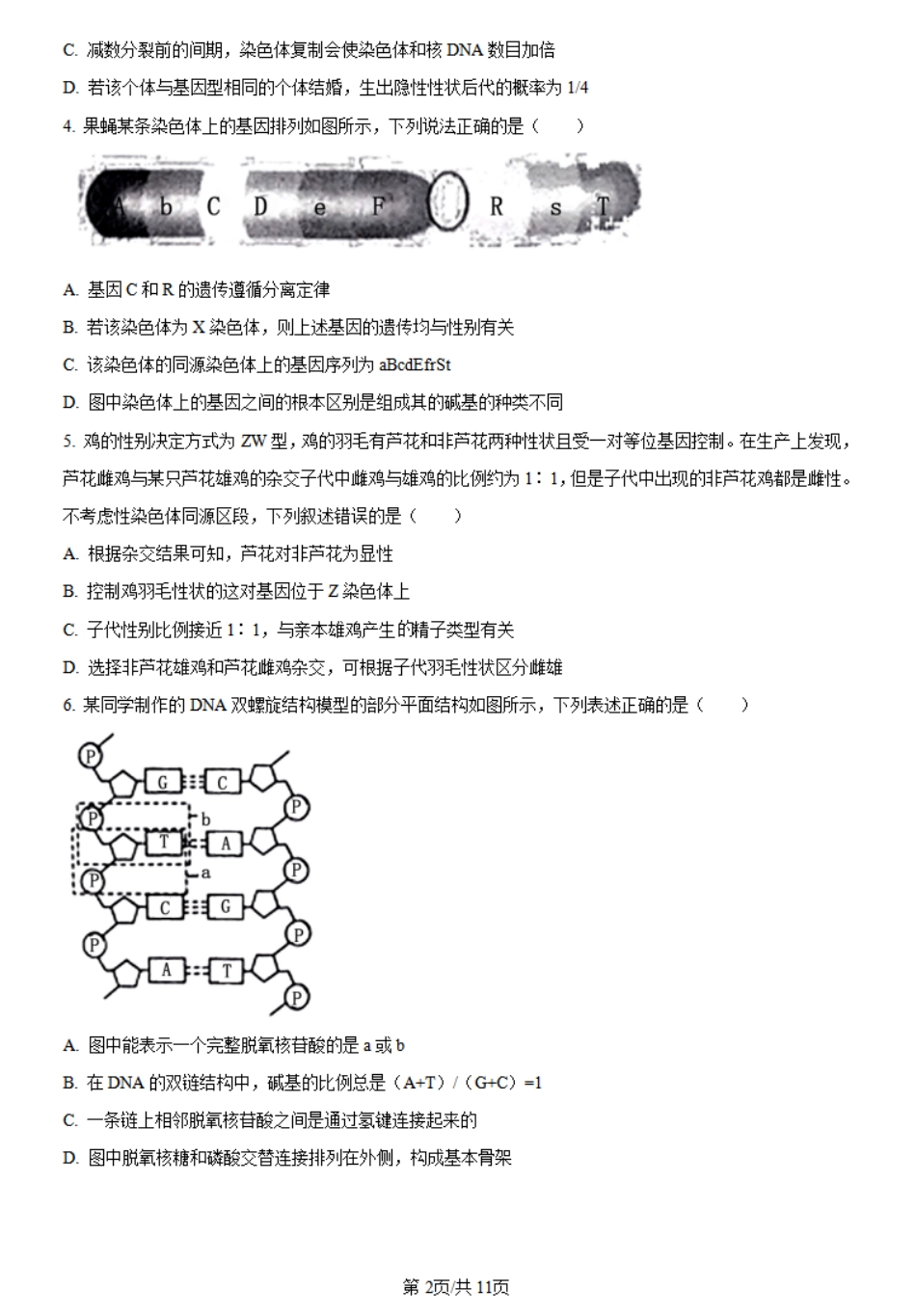 金太阳24-559A  2023-2024学年高一下学期6月月考生物试题.pdf_第2页