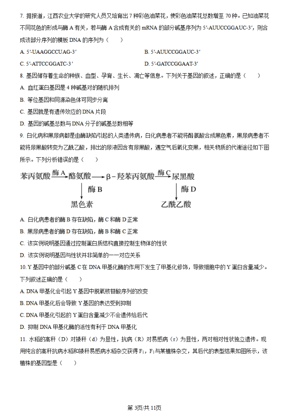 金太阳24-559A  2023-2024学年高一下学期6月月考生物试题.pdf_第3页