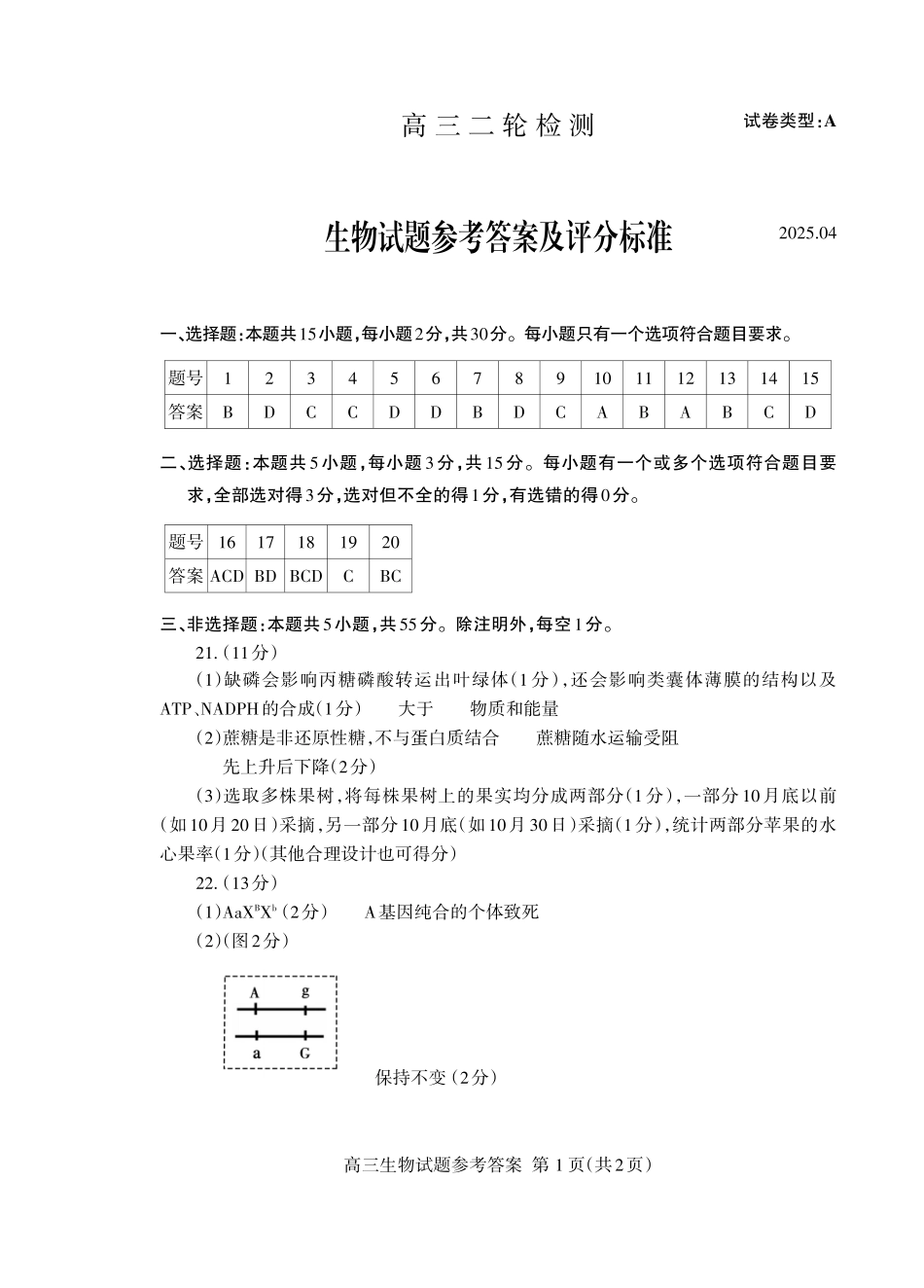 生物试卷答案【山东卷】山东省泰安市2025届高三二轮模拟检测考试（泰安二模）.pdf_第1页