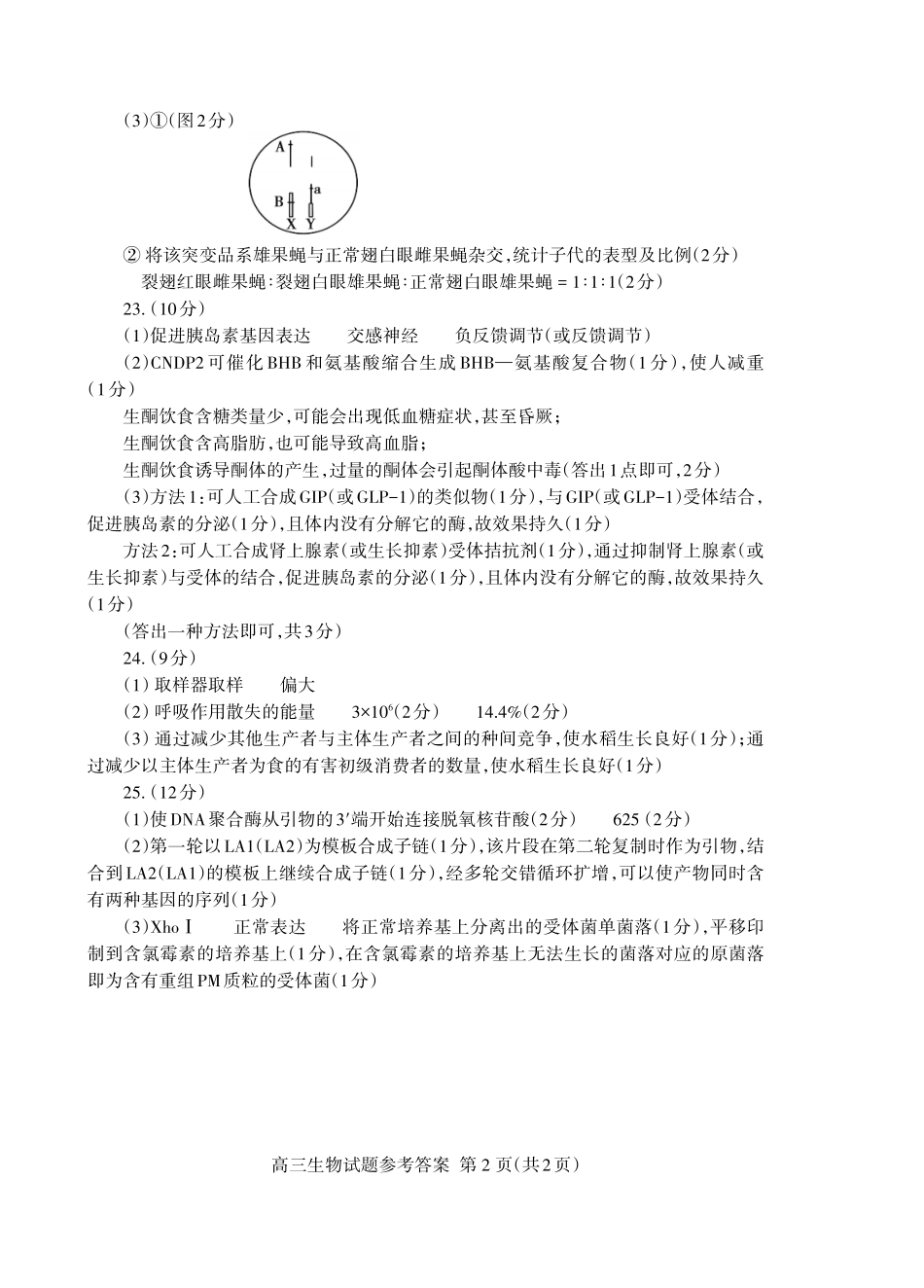 生物试卷答案【山东卷】山东省泰安市2025届高三二轮模拟检测考试（泰安二模）.pdf_第2页