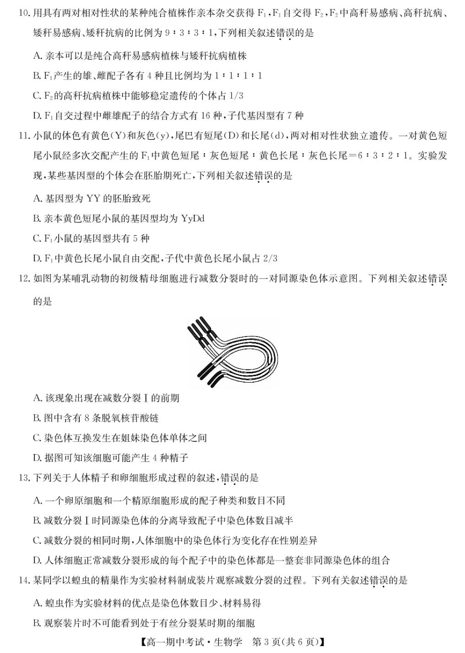 湖北省宜昌市协作体2024-2025学年高一下学期期中生物试卷（含答案）.pdf_第3页