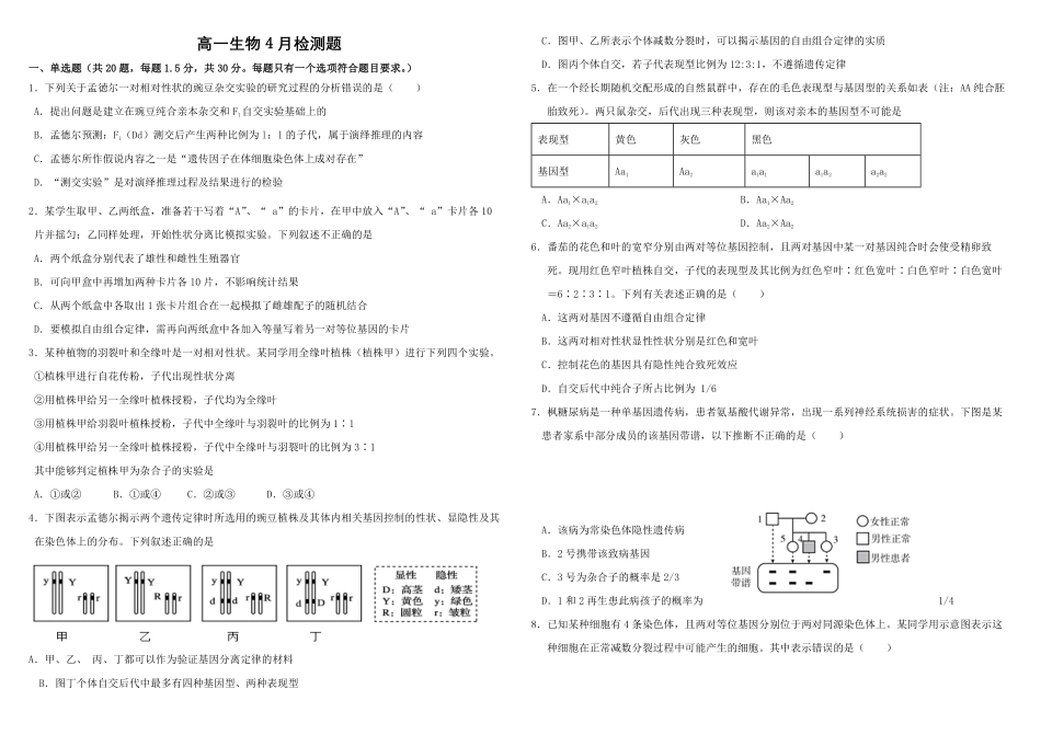 山东省威海市乳山市银滩高级中学2024-2025学年高一下学期4月月考生物试题（有答案）.pdf_第1页