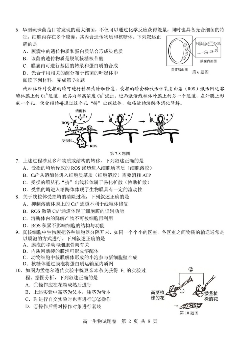 浙江省杭州地区（含周边）重点中学2024-2025学年高一下学期期中考试生物试卷（含答案）.pdf_第2页