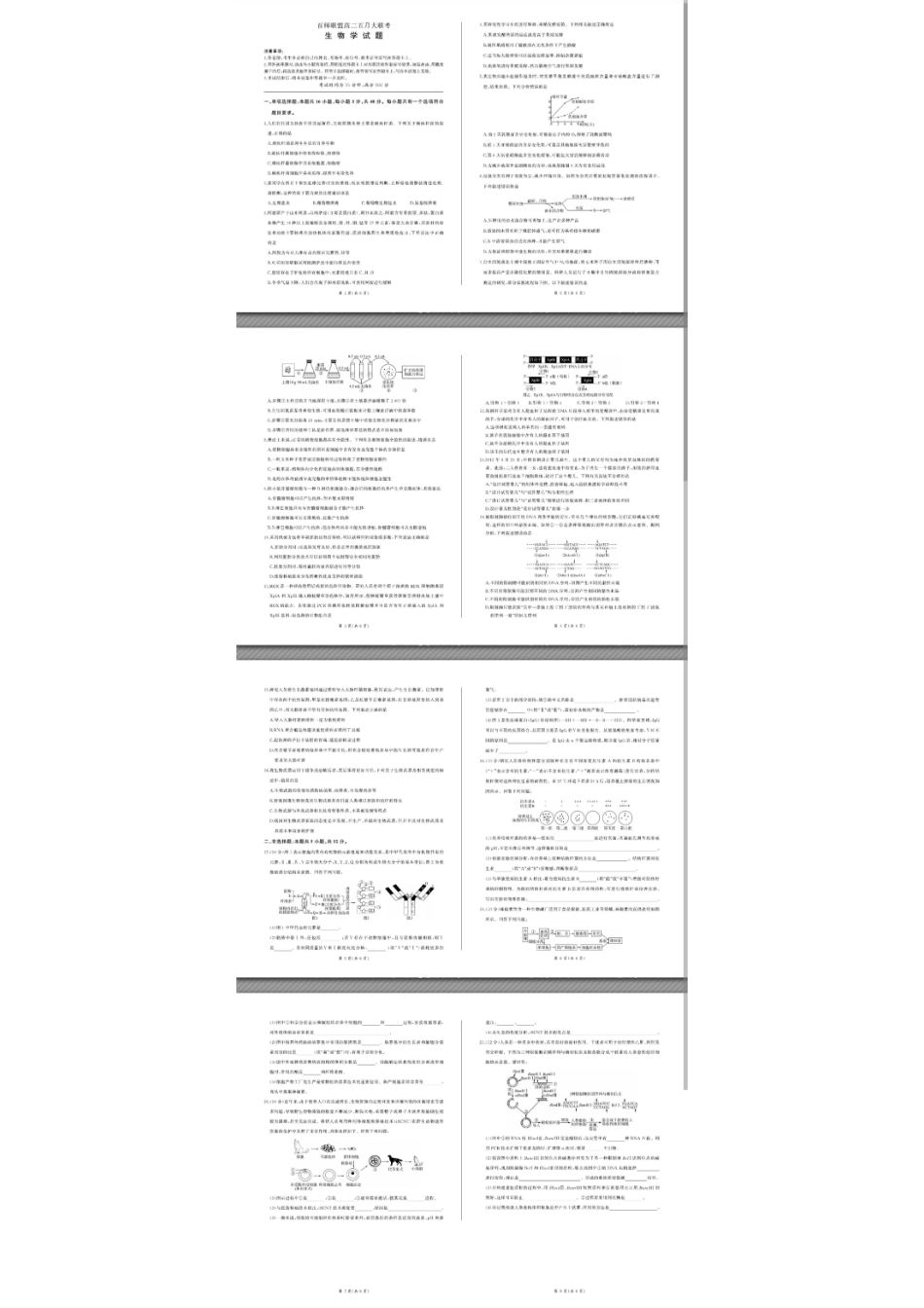 百师联盟2024年高二下学期五月大联考 生物试题.pdf_第1页