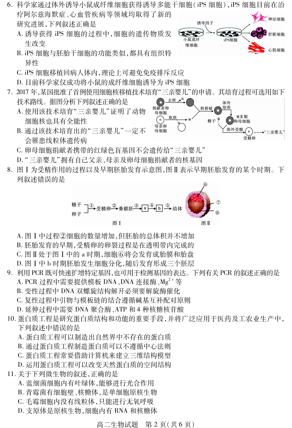 四川省乐山市2025届2023-2024学年高二下学期期末教学质量检测生物试卷.pdf_第2页