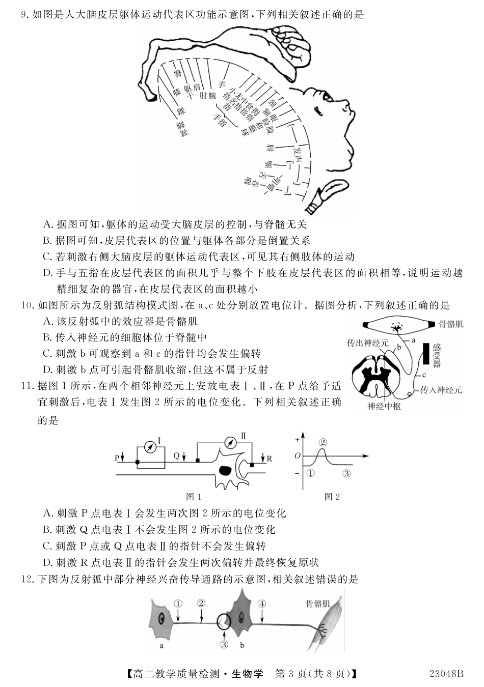 2023河南省豫北名校高二年级9月教学质量检测生物试题.pdf_第3页