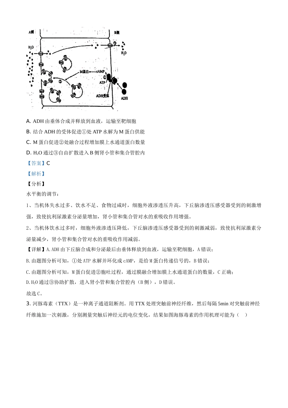 山东省青岛市五十八中2020-2021学年高二上学期期中检测生物试题（解析版）.doc_第2页