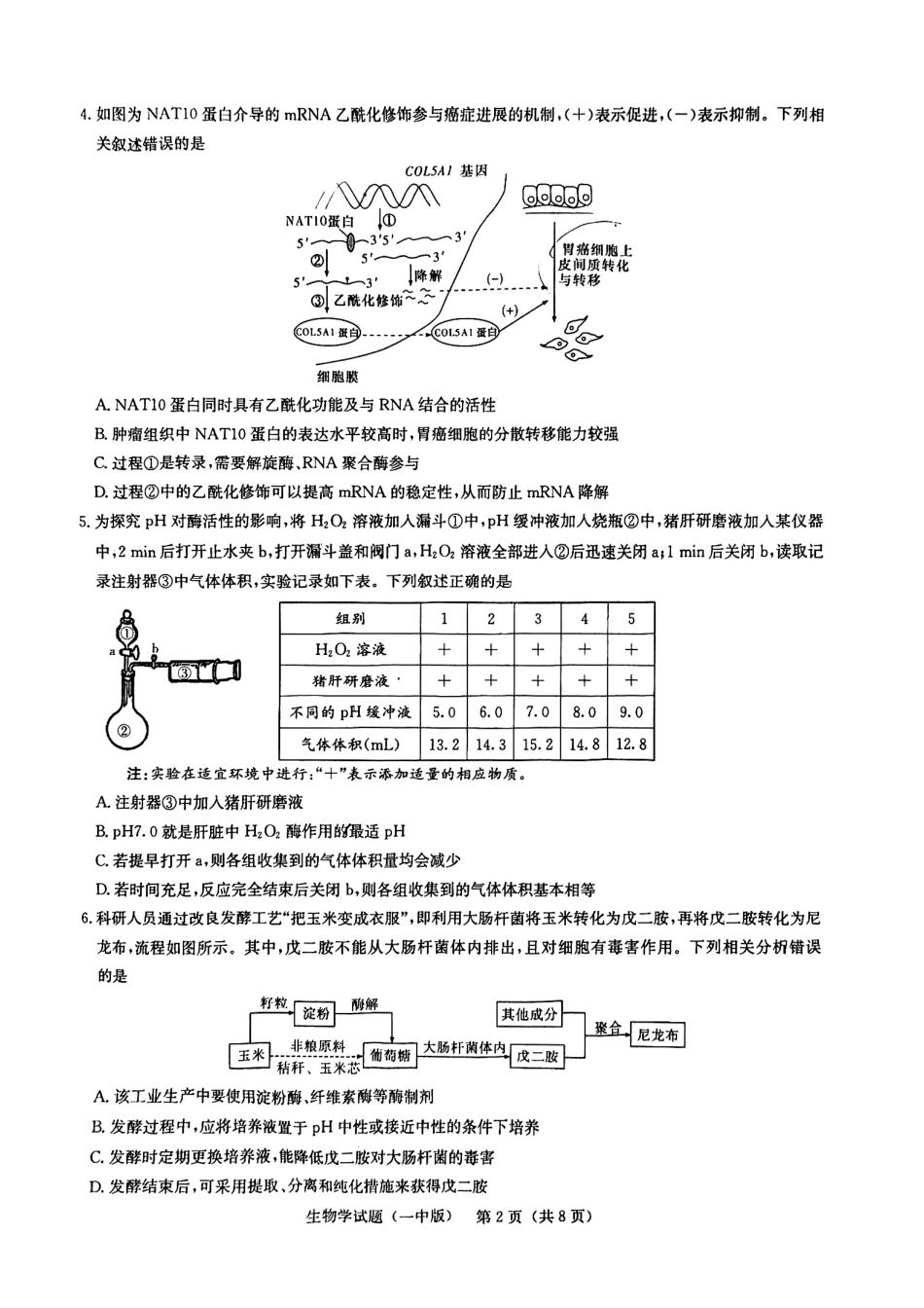 生物试卷+一模答案【Top50强校】【湖南卷】湖南省长沙市第一中学2025届高三下学期模拟（一）.pdf_第2页