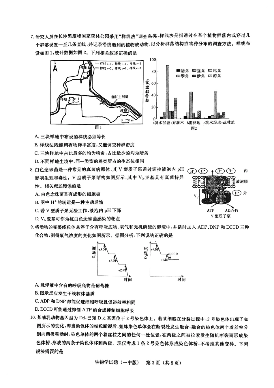 生物试卷+一模答案【Top50强校】【湖南卷】湖南省长沙市第一中学2025届高三下学期模拟（一）.pdf_第3页
