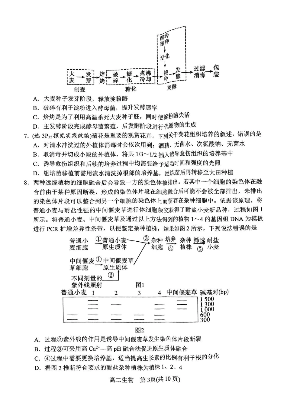 河南省南阳市2024-2025学年高二下学期4月期中考试 生物含答案.pdf_第3页