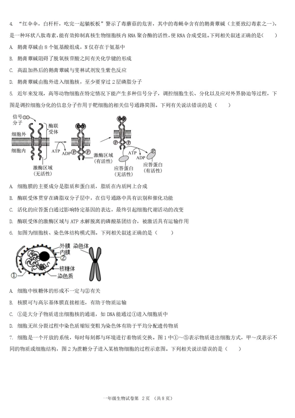 湖北省宜昌市部分示范高中2024-2025学年高一下学期4月期中联合考试生物试题.pdf_第2页