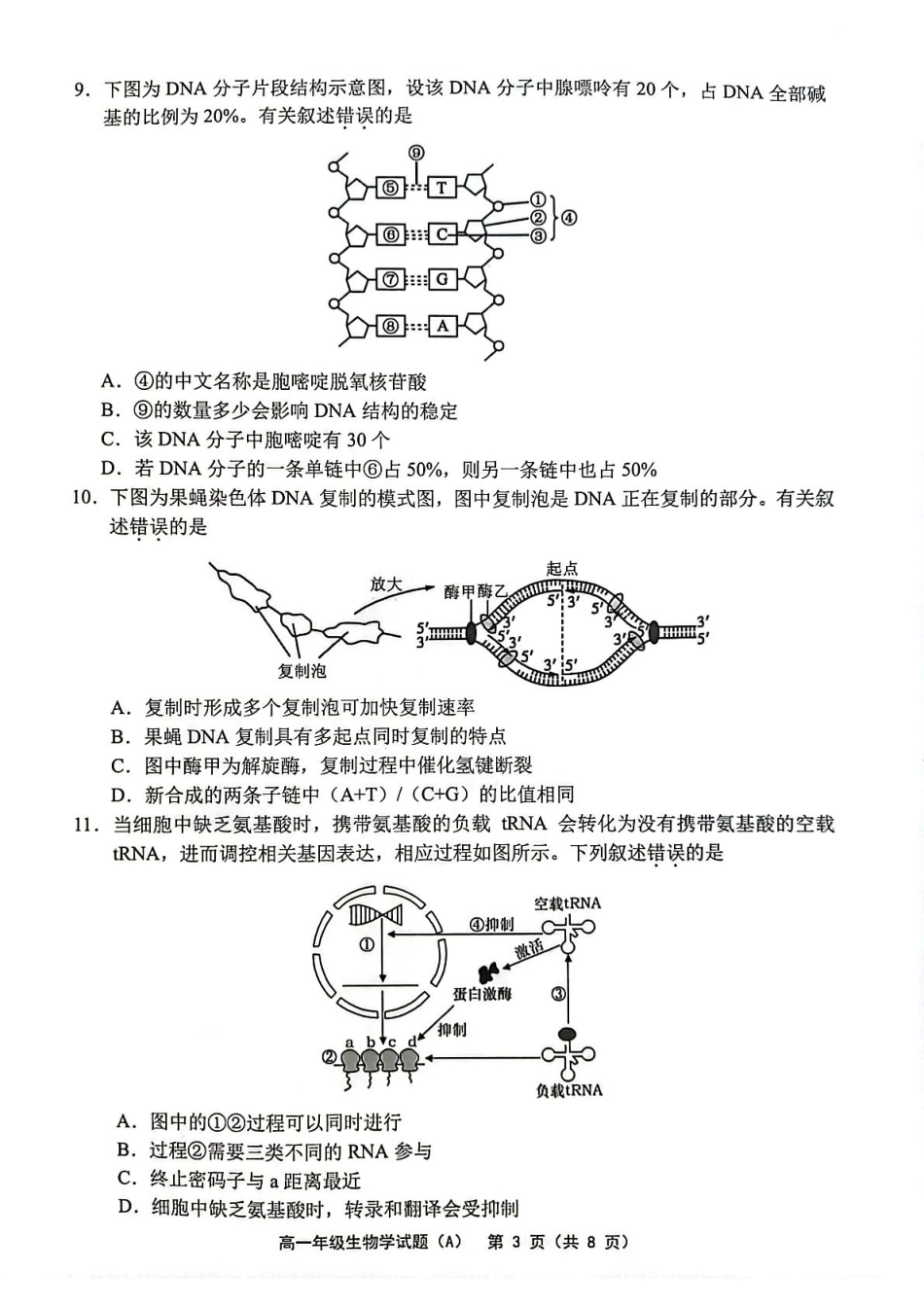 江苏省连云港市赣榆区2024-2025学年高一下学期4月期中考试 生物含答案.pdf_第3页