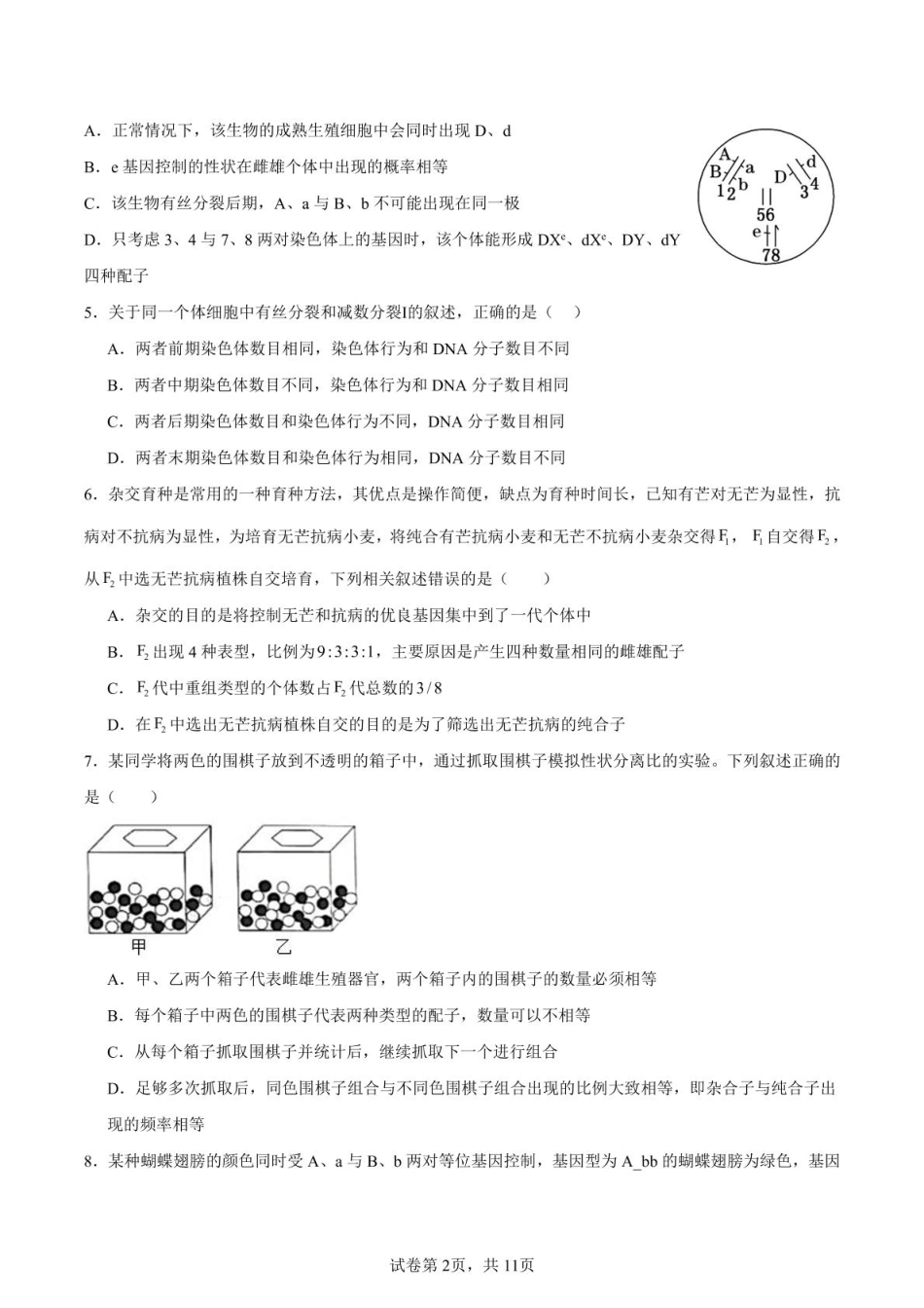 山东省新泰市第一中学北校2024—2025学年高一下学期期中考试生物试题.pdf_第2页
