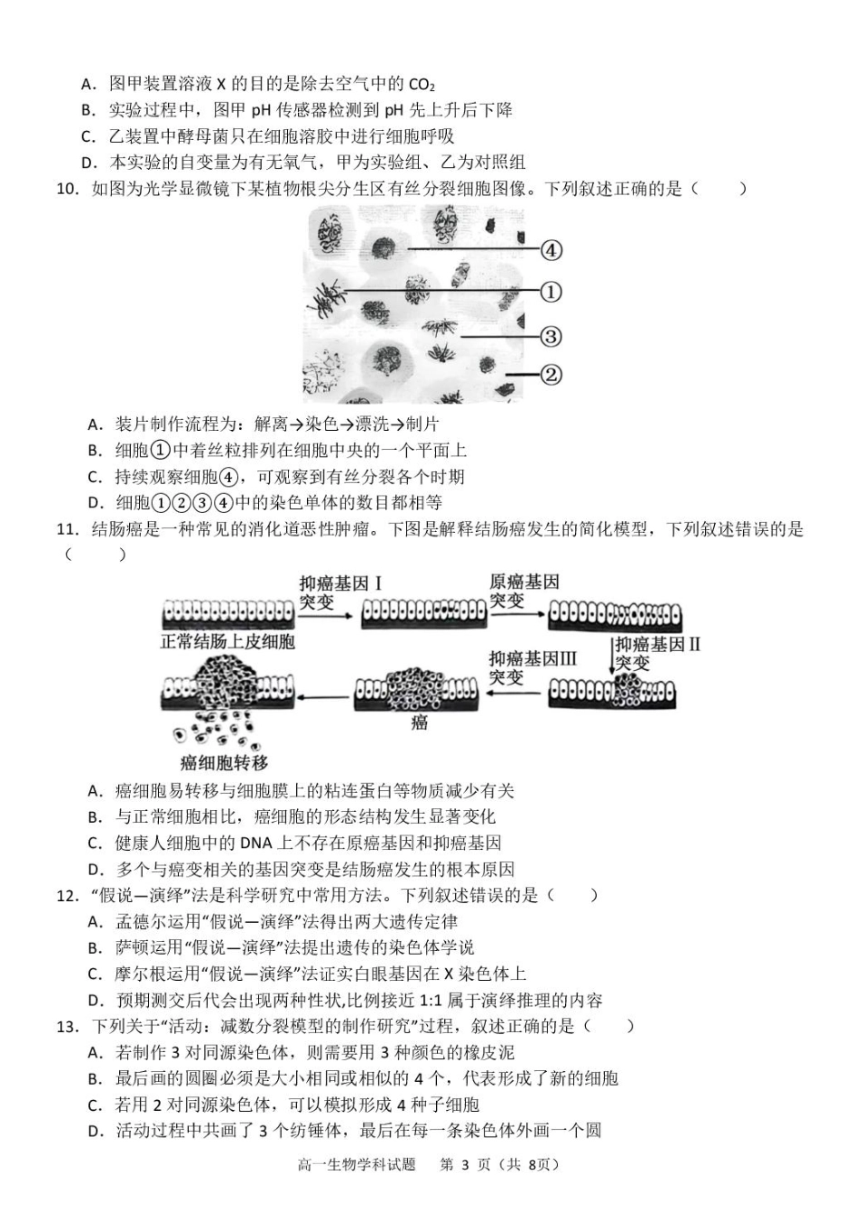 浙江省杭州市S9联盟2024-2025学年高一下学期4月期中生物试卷（含答案）.pdf_第3页