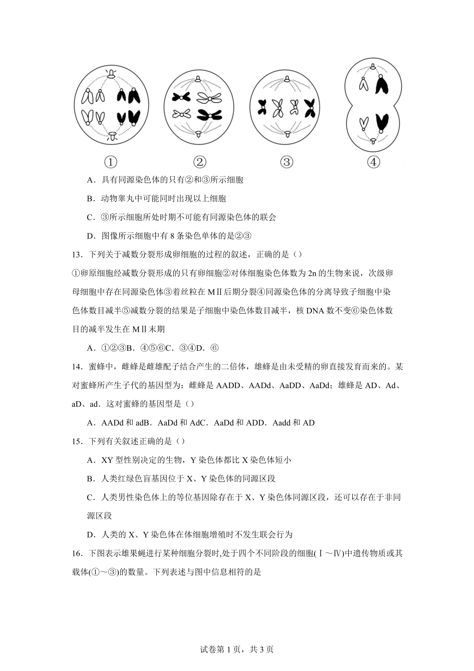 吉林省长春市第八中学2024-2025学年高一下学期4月月考生物试题（有答案）.pdf_第3页