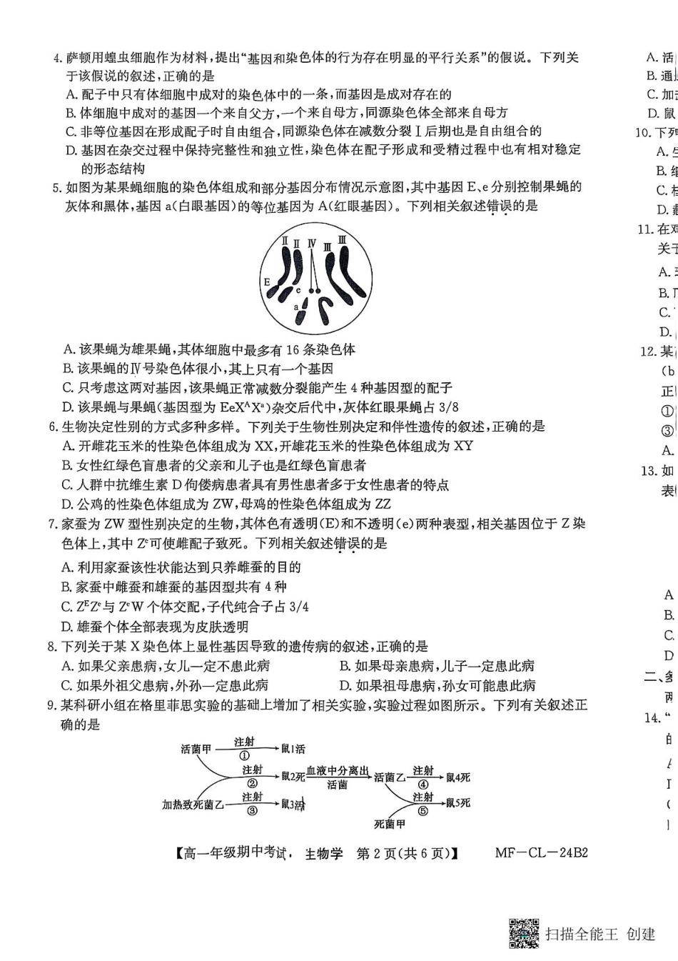 河北省沧州市四县多校联考2024-2025学年高一下学期4月期中考试生物试题.pdf_第2页