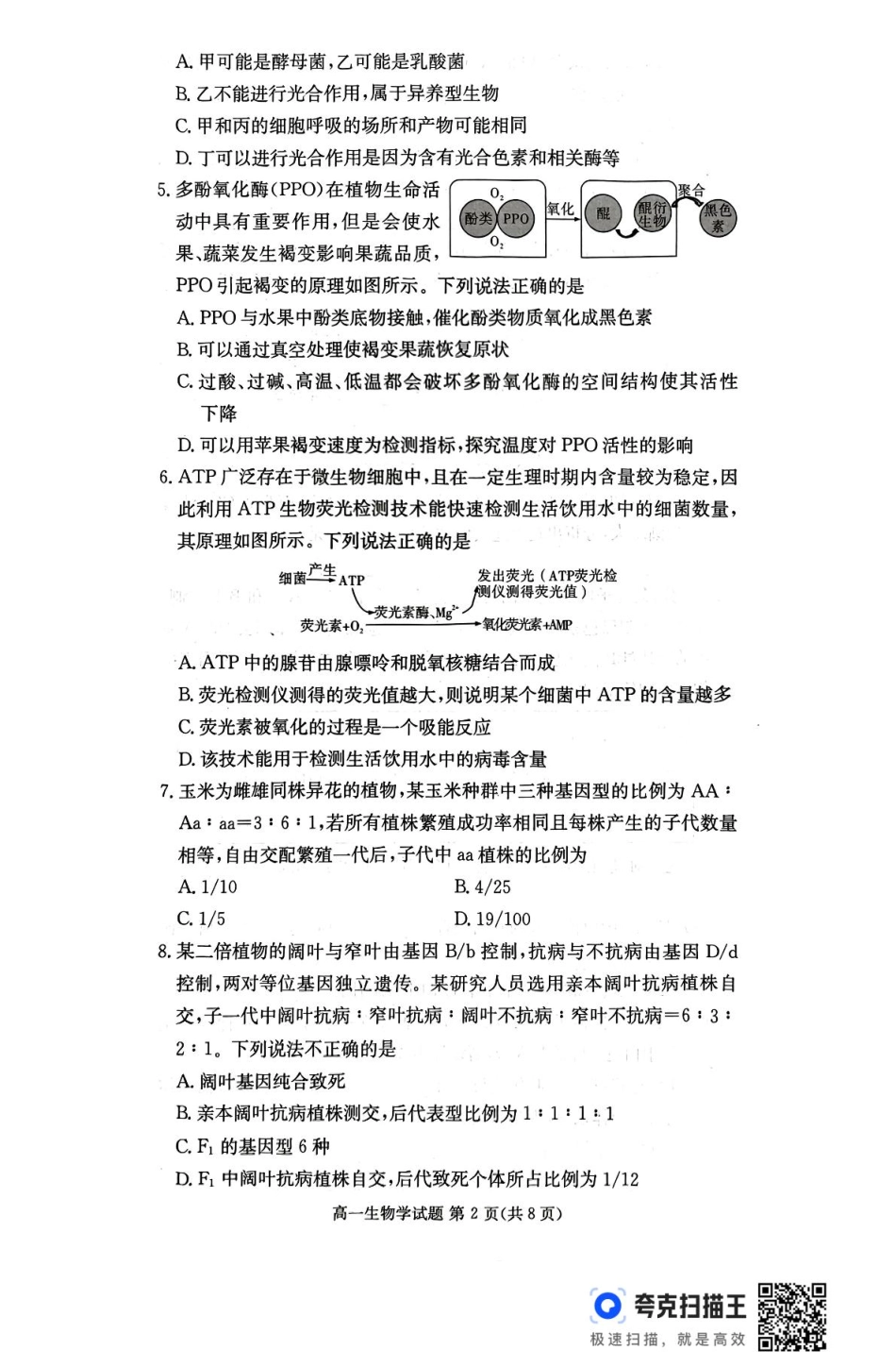 湖南省名校联考联合体2024-2025学年高一下学期期中考试生物学.pdf_第2页