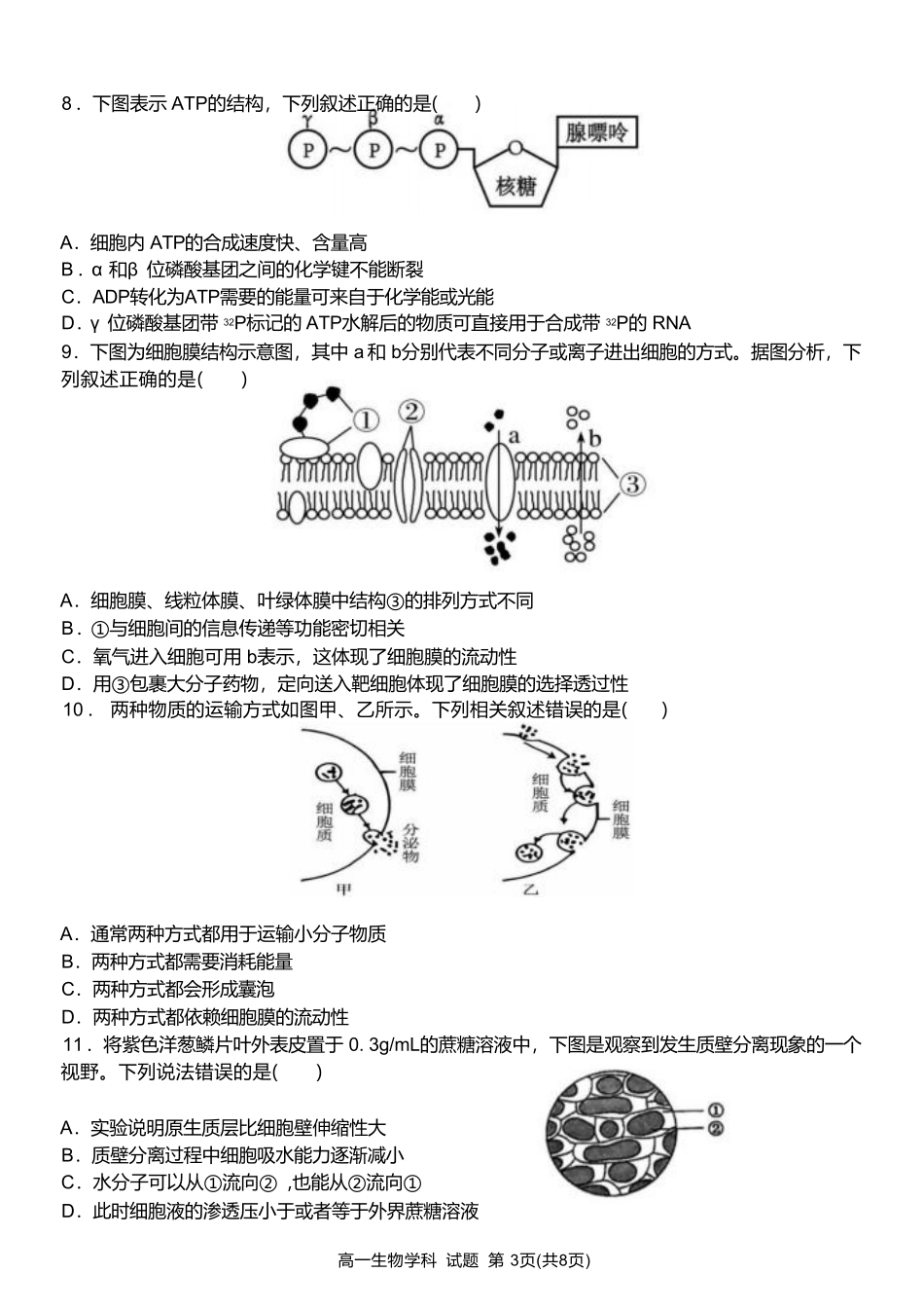 浙江省温州新力量联盟2024-2025学年高一下学期4月期中联考生物试卷.pdf_第3页