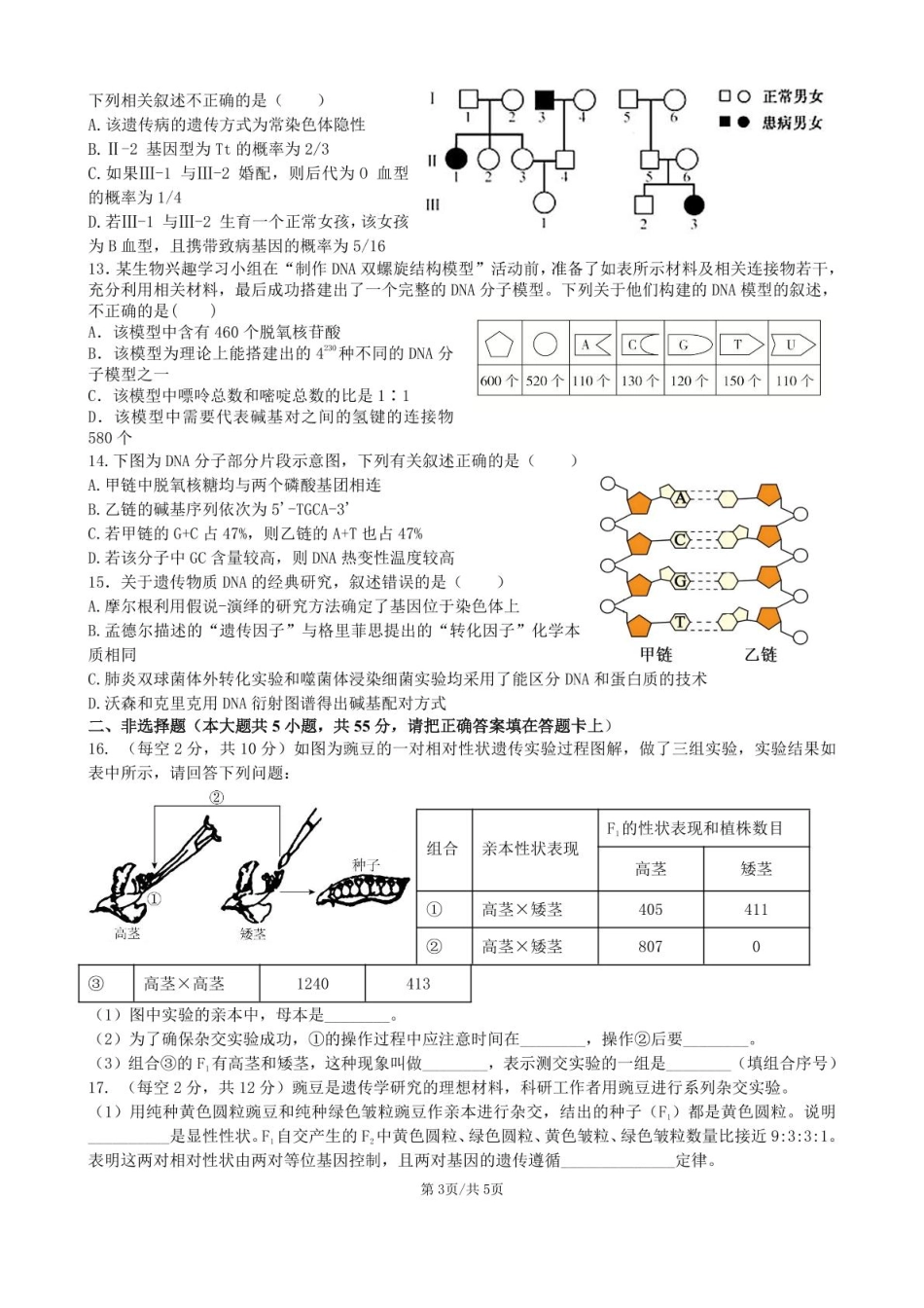 安徽省合肥市普通高中六校联盟2024-2025学年高一下学期4月期中考试 生物含答案.pdf_第3页