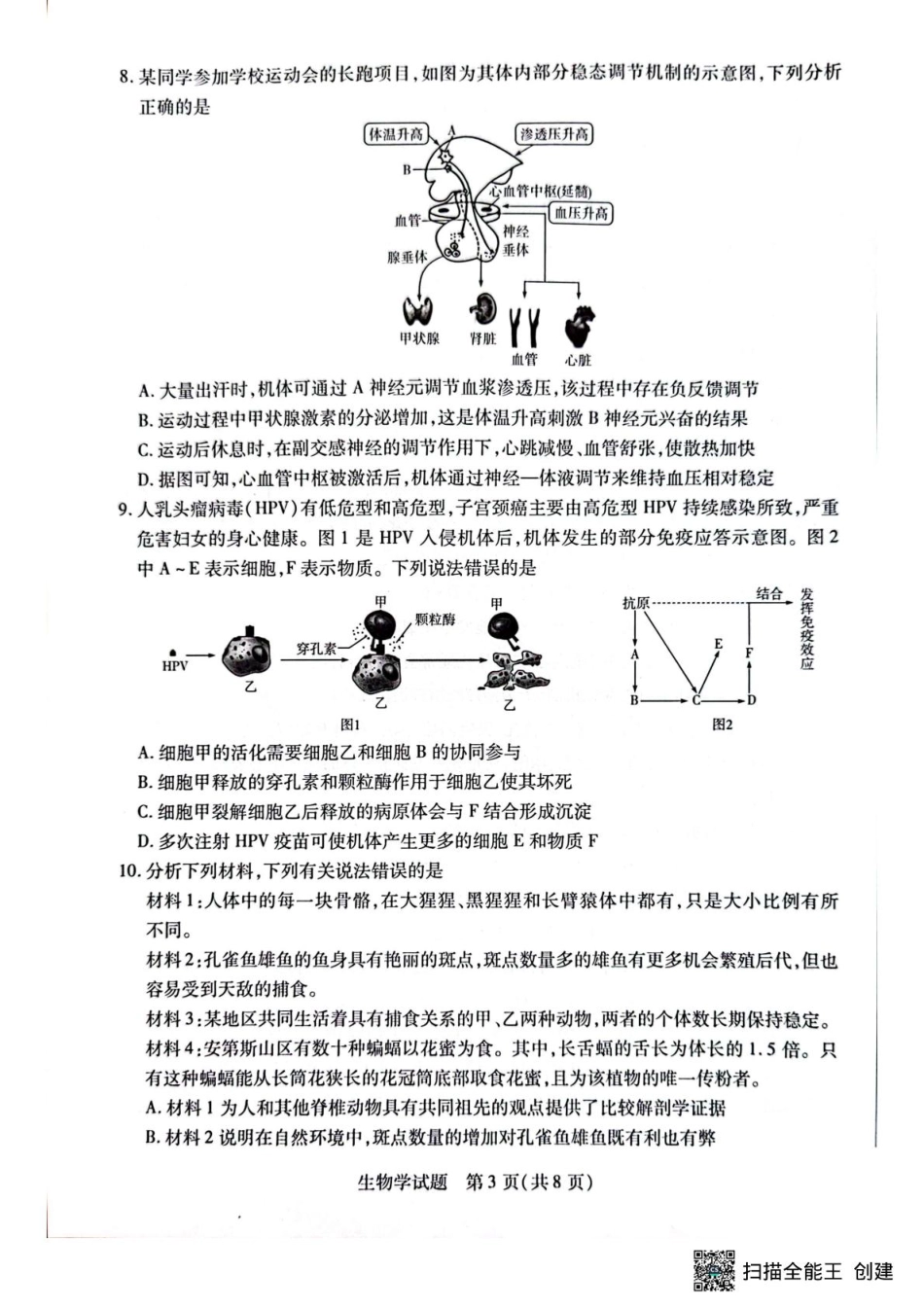 生物试卷+答案安徽省天一大联考 卓越县中联盟2024-2025学年高三5月份检测（5.6-5.7）.pdf_第3页