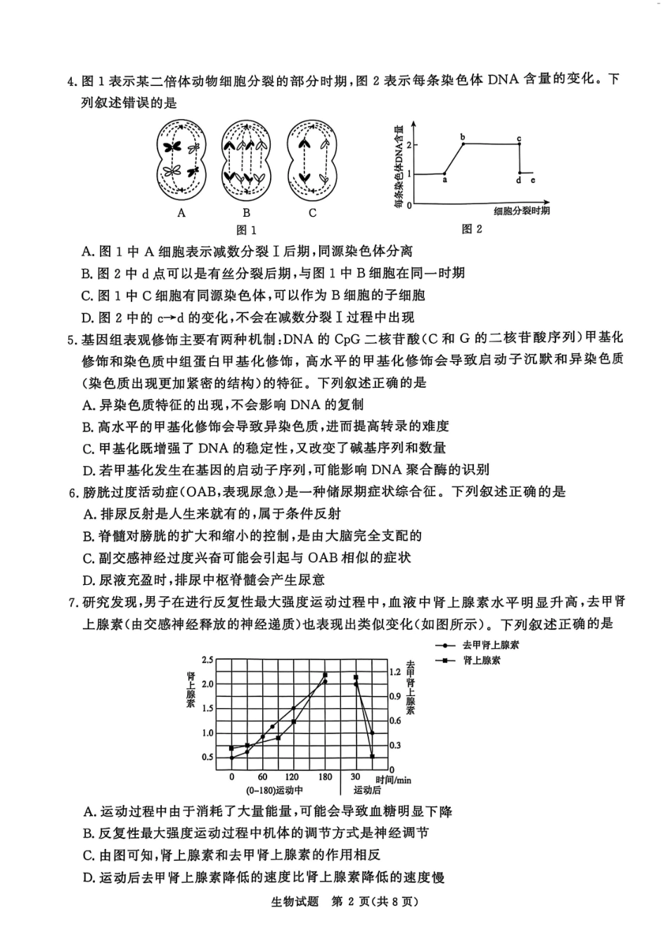生物试卷河南省青桐鸣大联考普通高中20-24-2025学年高三考前适应性考试(5.14-5.15).pdf_第2页