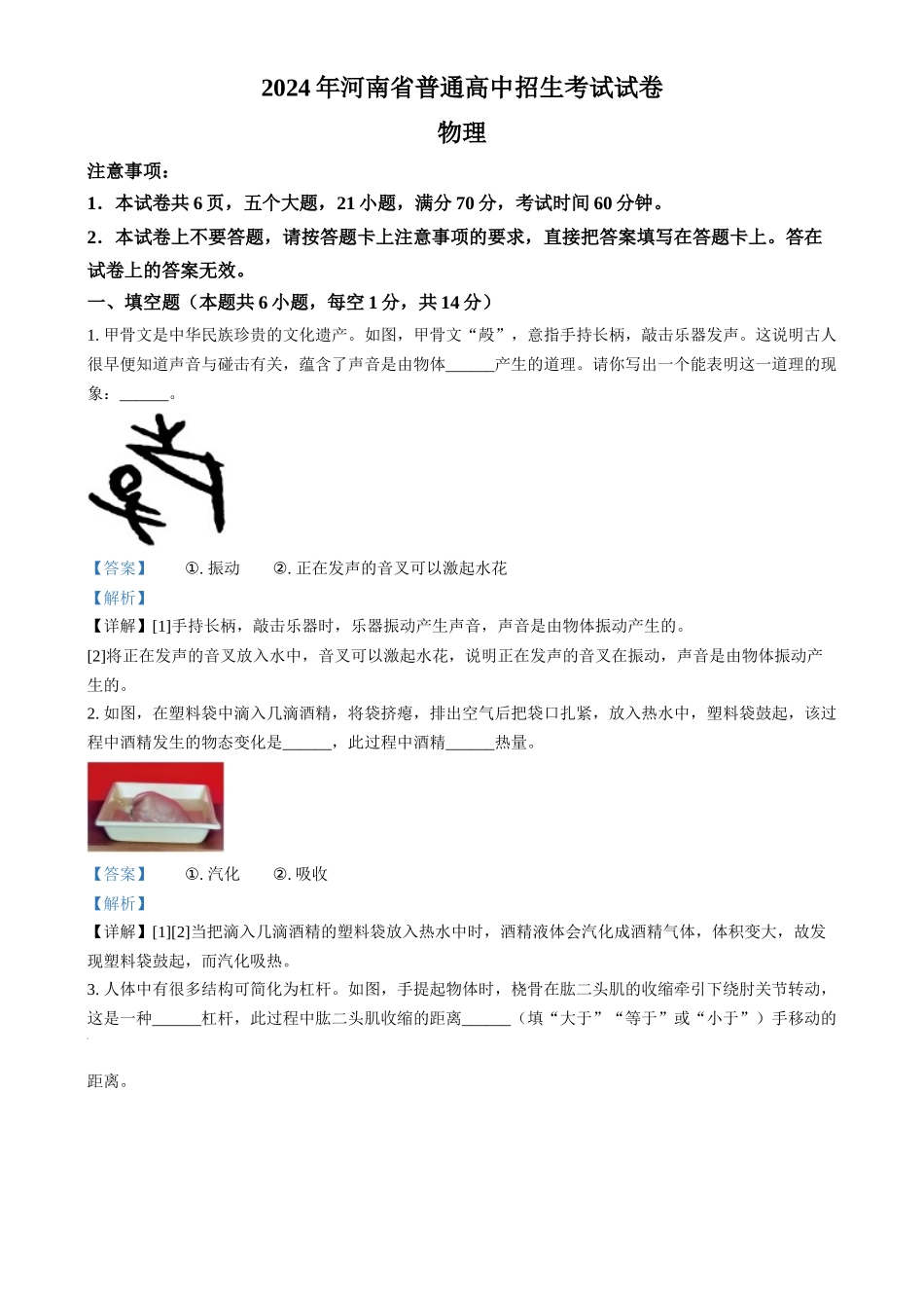 2024年河南省中考物理试题（解析版）.docx_第1页
