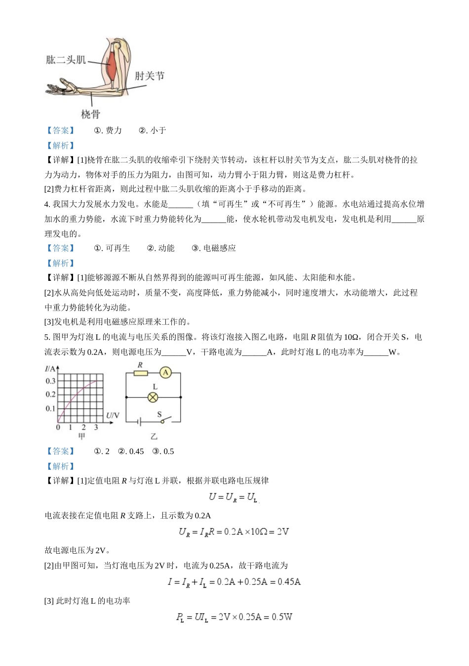 2024年河南省中考物理试题（解析版）.docx_第2页