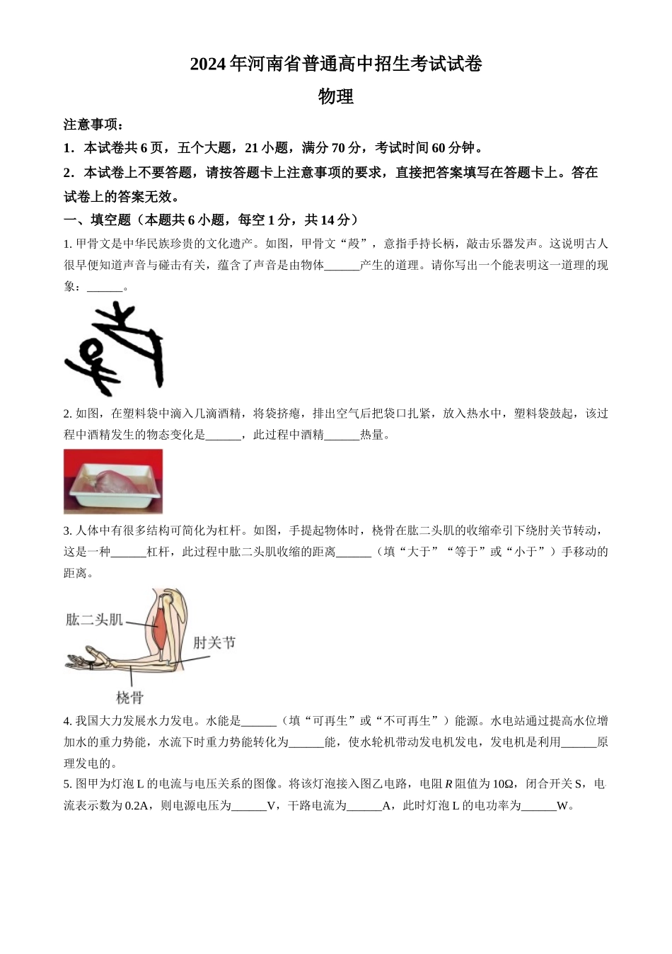 2024年河南省中考物理试题（原卷版）.docx_第1页