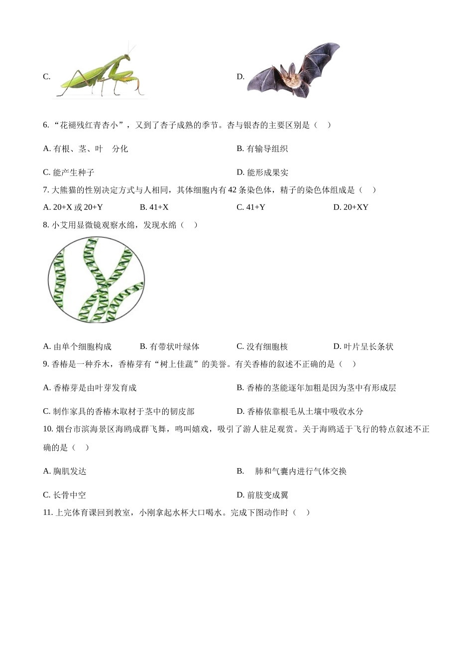 2024年山东省烟台市中考生物试题（原卷版）.docx_第2页